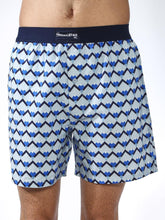 All Over Print Regular Fit Shorts